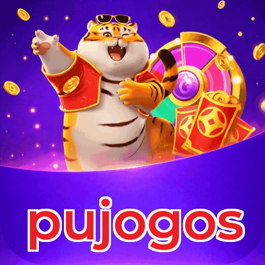 Métodos de pagamento aceitos na pujogos